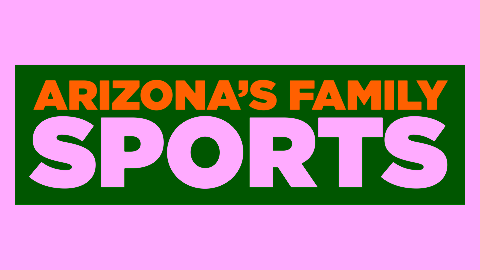 Arizona Family Sports Poster