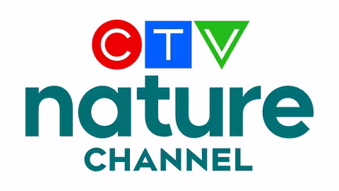 CTV Nature Poster