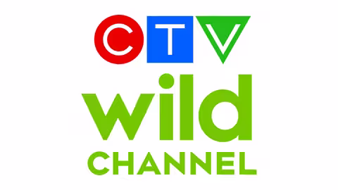 CTV Wild Poster