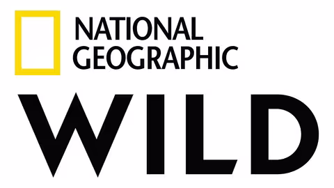 Nat Geo Wild Poster