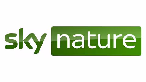Sky Nature Poster