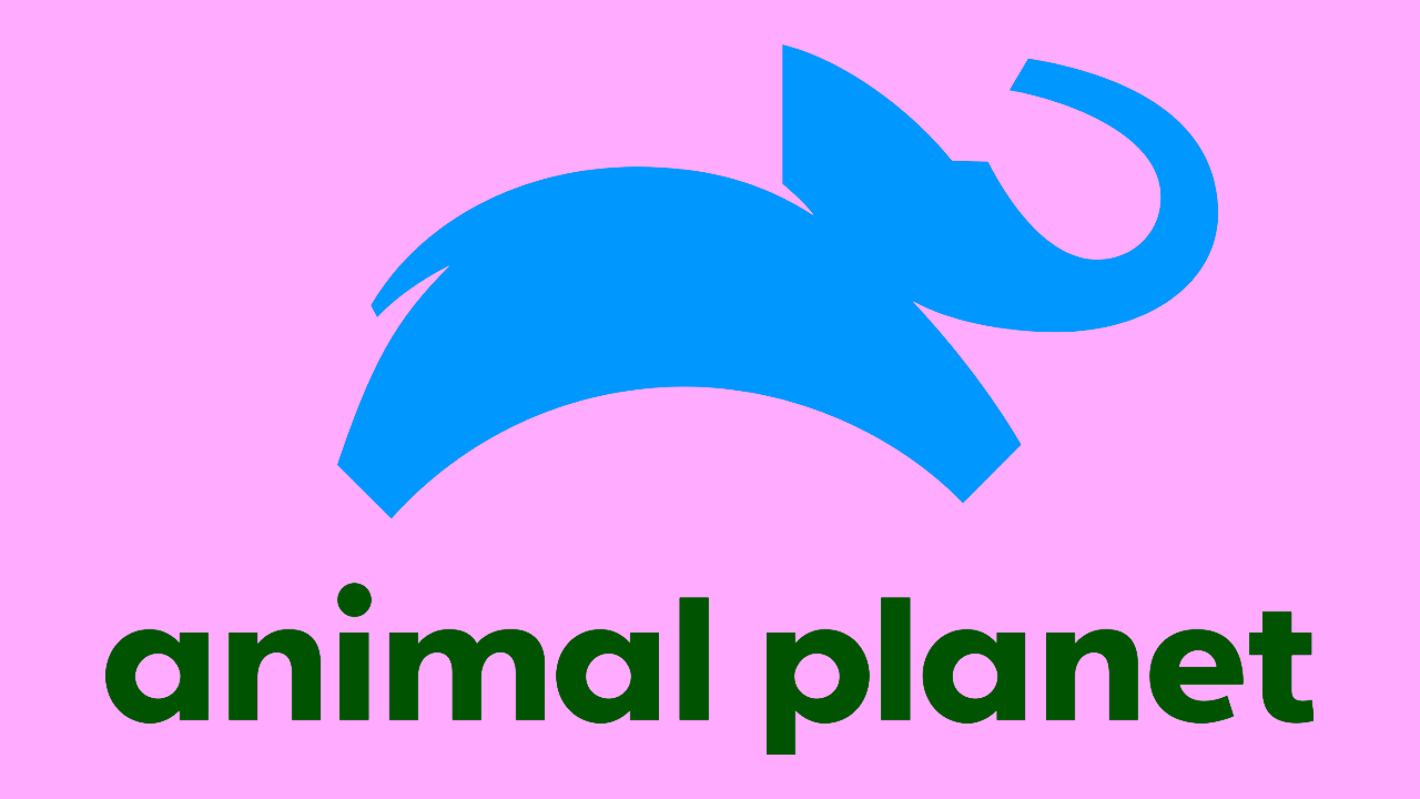 Animal Planet Poster